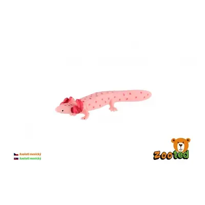 Zooted axolotl mexický