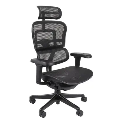 Ergonomické křeslo Ergohuman Ultra BS Black