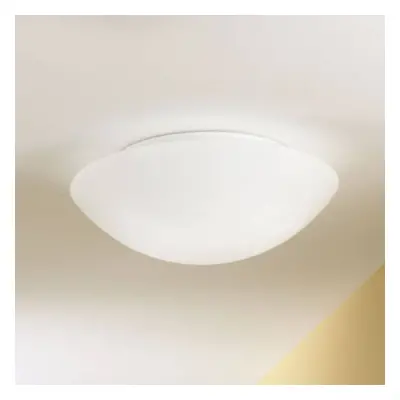 Fabas Luce Stropní a nástěnné světlo PANDORA, 30 cm