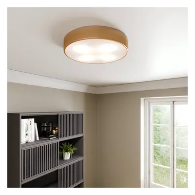 TEMAR LIGHTING Stropní světlo Cleo, Ø 50 cm, zlatá