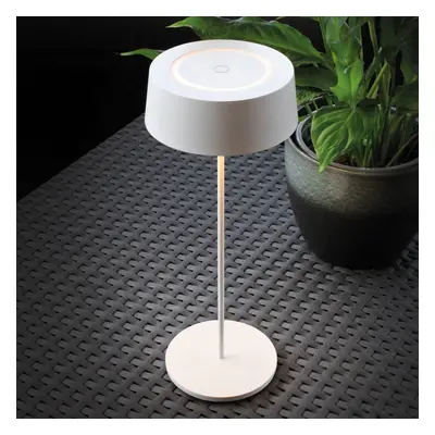 Eco-Light LED stolní lampa Cocktail, na baterii, dim, bílá