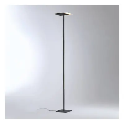 BOPP Bopp Flat LED stojací lampa se stmívačem antracit