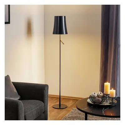 Foscarini Foscarini Birdie LED Lettura stojací lampa grafit