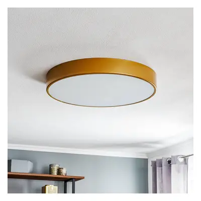 TEMAR LIGHTING Stropní světlo Cleo ve zlaté s difuzorem, Ø 60 cm