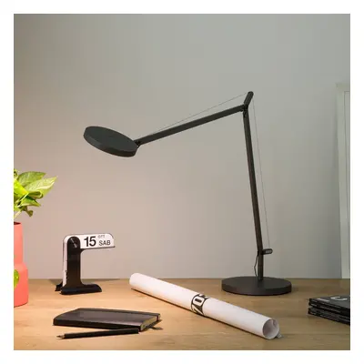 Artemide Artemide Demetra Professional stolní lampa šedá