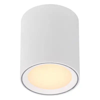 Nordlux LED stropní svítidlo Fallon, výška 12 cm