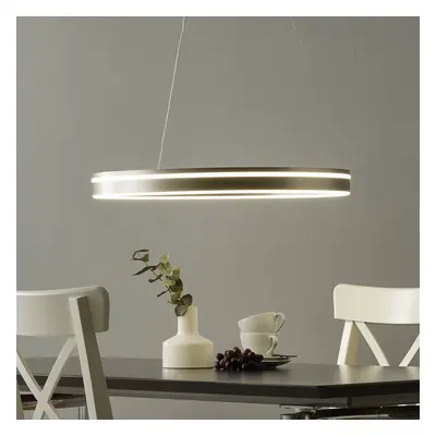 Q-Smart-Home Paul Neuhaus Q-VITO LED závěsné světlo 59cm ocel