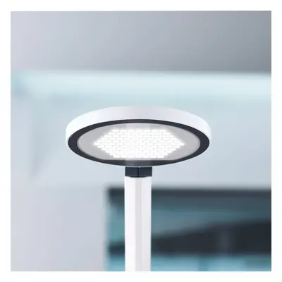 Waldmann LED stolní lampa PARA.MI FTL 102 R bílá 930