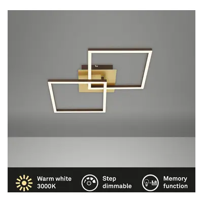 Briloner Stropní svítidlo LED Frame, zlaté, stmívatelné, 2 světla