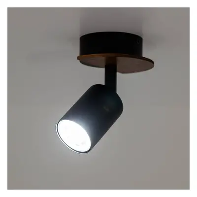 TK Lighting Nástěnné bodové svítidlo Cover Wood ořech 1 zdroj