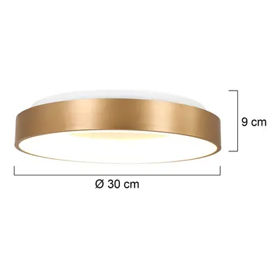 Steinhauer Stropní svítidlo LED Ringlede 2 700 K Ø 30 cm zlatá