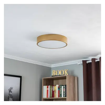 TEMAR LIGHTING Stropní světlo Cleo 400, senzor, Ø 40cm zlatá