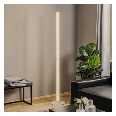 TECNICO by Sforzin Stojací lampa Pirgos LED se stmívačem, výška 180 cm