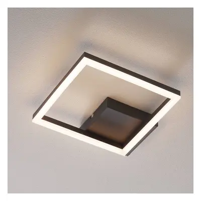 Fabas Luce LED stropní světlo Bard 27x27 cm, antracit