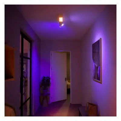 Philips Hue Philips Hue Centris LED spot dvě žárovky, bílý