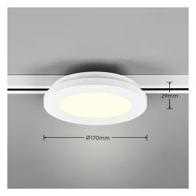 Trio Lighting LED světlo Camillus pro DUOline, bílé, Ø 17 cm