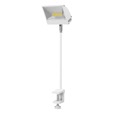 Steinigke Showtechnic EUROLITE KKL-30 LED lampa se svorkou 30W bílá