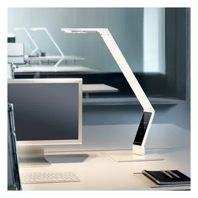 Luctra Luctra Table Linear LED stolní lampa noha bílá