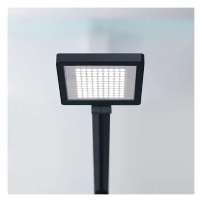 Waldmann LED stolní lampa PARA.MI FTL 108 R černá 940