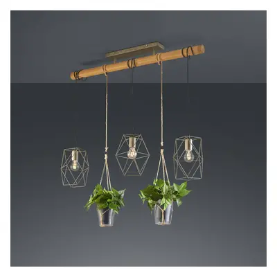 Trio Lighting Závěsné světlo Plant, 3 zdroje skleněná vložka