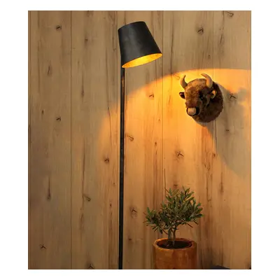 Eco-Light Stojací lampa Colt, jeden zdroj, mražená-šedá