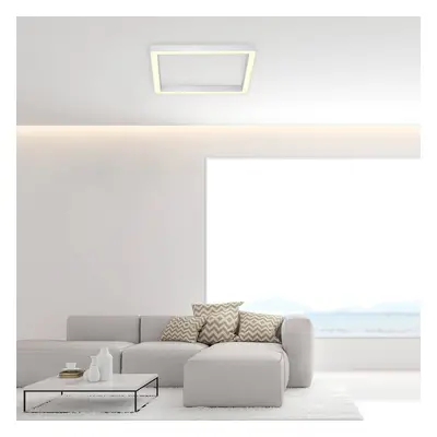 PURE Stropní svítidlo LED PURE Lines, 55 x 55 cm, stříbrná, CCT, dálkové ovládání