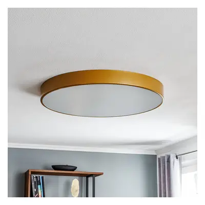 TEMAR LIGHTING Stropní světlo Cleo ve zlaté s difuzorem, Ø 78cm