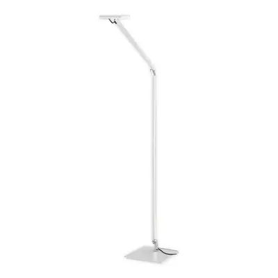 Nimbus Nimbus Roxxane Home LED lampa na čtení 927 bílá