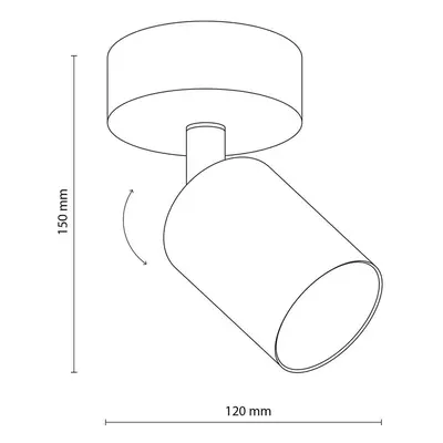 TK Lighting Stropní bodové svítidlo Top, nastavitelné, hnědé, jednoplamenné