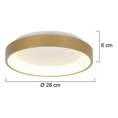 Steinhauer Stropní svítidlo Ringlede LED, zlatá barva, výška 6 cm, Ø 28 cm