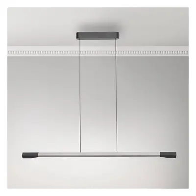 Paul Neuhaus Paul Neuhaus LED závěsné svítidlo Hoop, barva hliníku, 128 cm, stmívatelné