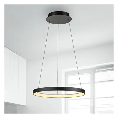 Paul Neuhaus Paul Neuhaus LED závěsné svítidlo Hoop, černé, Ø 57 cm, stmívatelné