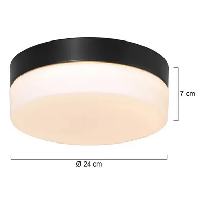 Steinhauer LED stropní svítidlo Ikaro černé, Ø 24 cm, kov, plast