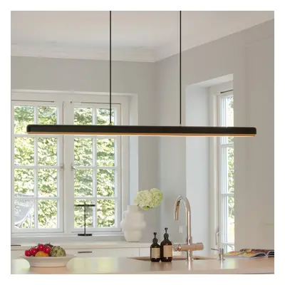 UMAGE Závěsná lampa LED UMAGE Hazel Branch, černá/mosaz, 150 cm