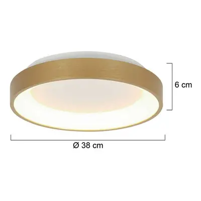 Steinhauer Stropní svítidlo Ringlede LED, zlatá barva, výška 6 cm, Ø 38 cm