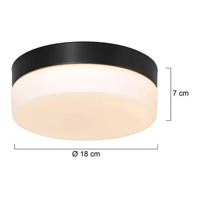 Steinhauer LED stropní svítidlo Ikaro černé, Ø 18 cm, kov, plast