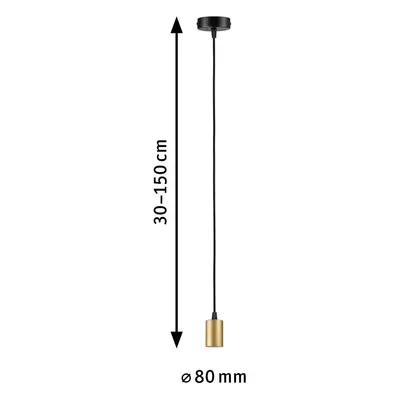 Paulmann Paulmann Ravi závěsná zásuvka E27, černá/matné zlato