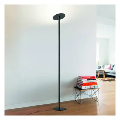 Fabas Luce Stojací lampa Regina LED, černá, CCT, stmívatelná, výška 180 cm