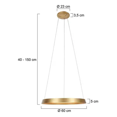 Steinhauer Závěsné svítidlo Ringlux LED, 1 světlo, zlatá barva, kov