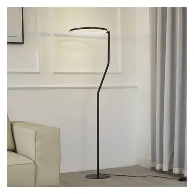 Lindby Stojací lampa Lindby LED Rayon, černá, kov, výška 150,3 cm