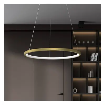 Eko-Light Závěsné svítidlo HOOP LED, 27 W, Ø 50 cm, 4 000 K, zlatá barva