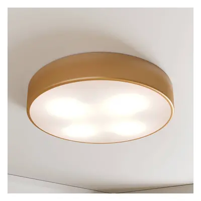 TEMAR LIGHTING Stropní svítidlo Cleo, Ø 50 cm, IP20, zlatá barva, kov, E27