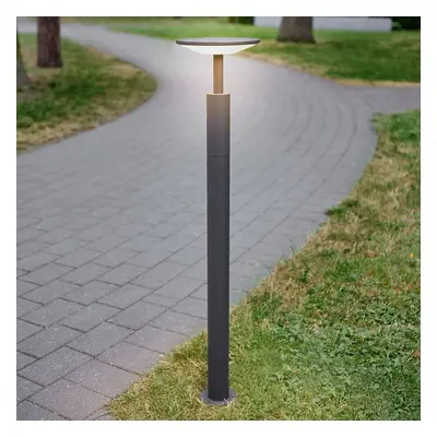 Lucande Světlo Lucande LED na cestu Fenia, 100 cm, antracit, IP65