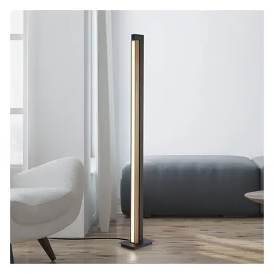 PURE LED stojací lampa PURE Lines, černá, dřevo, dálkové ovládání, 140 cm