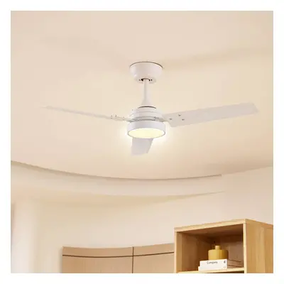 Lindby Stropní ventilátor Lindby LED Aerallo, bílý, CCT, tichý