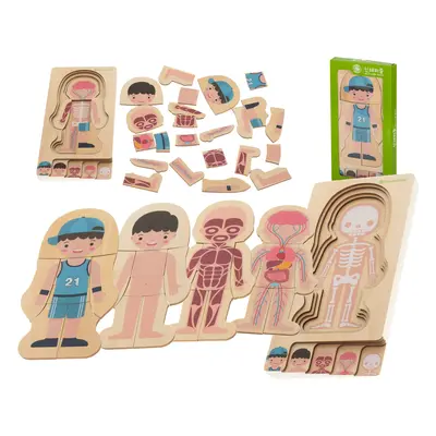 Creative Corner Dřevěné vrstvené puzzle montessori body building boy