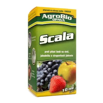 Scala 10ml