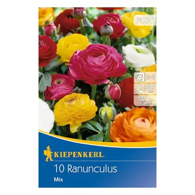 712843 Ranunkulus (Pryskyřník) směs 10ks / 8705