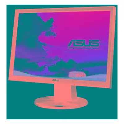 Asus VW193D - Lcd monitor 19 90LM33101500001C