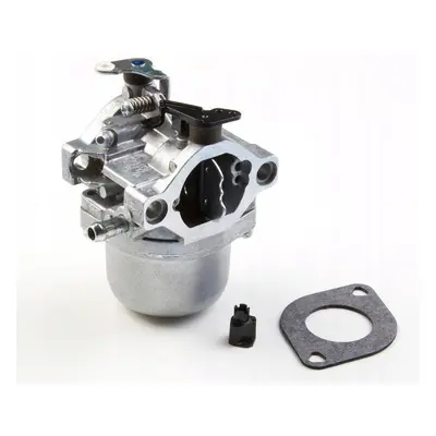 Briggs Stratton 12 hp plyn 799728 495706